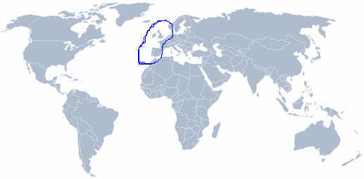 Wereldkaart Pecten maximus